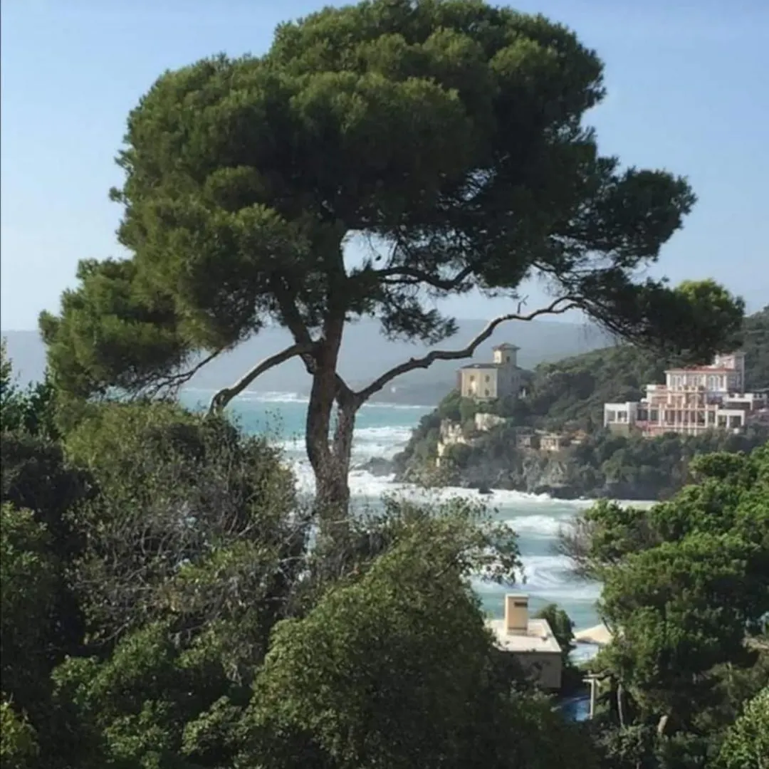 Villa San Domenico Castiglioncello 0*,  Itálie