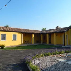 Corte Bolandina Taglio di Po